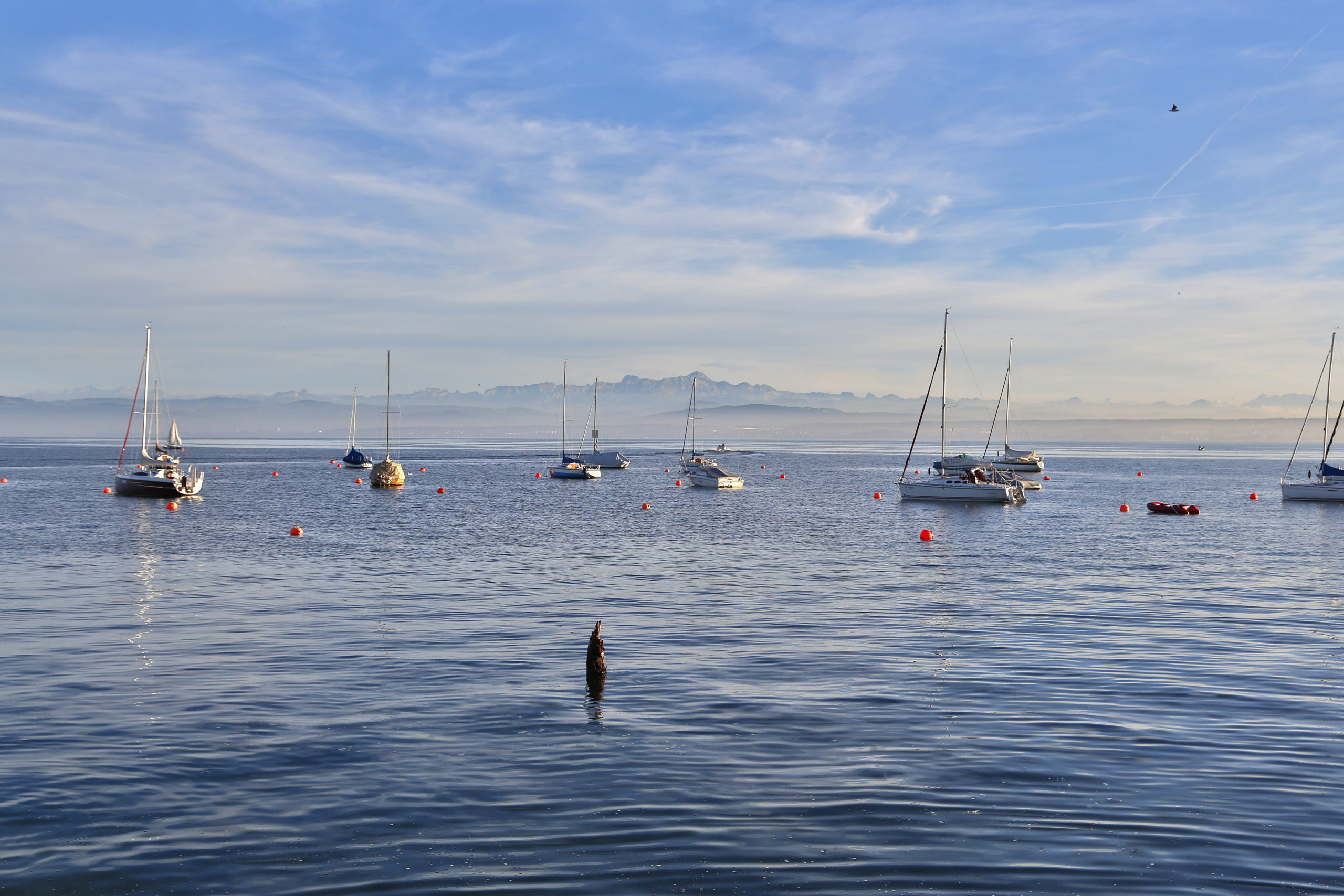 Explore Lake Constance by bike and enjoy the great view